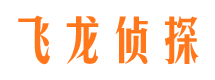 河北出轨调查